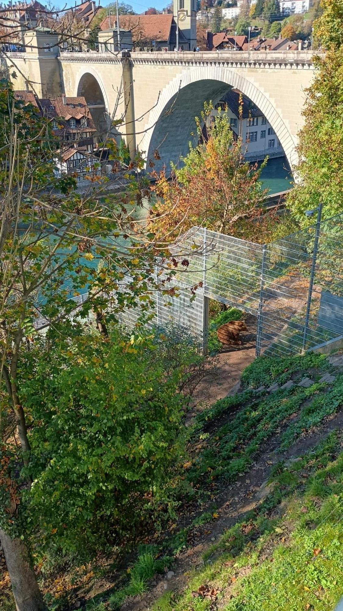 Bellevue résidence- Studio piscine, Porte du soleil Morgins Exterior foto